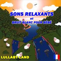 Jungle De Nuit - Bruit Blanc - Sons Nature - Lullaby Land