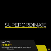 Secure - Nae:Tek & Micronoise