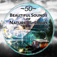 Mystical Valley: Liquid Thoughts in the Rain - Healing Power Natural Sounds Oasis