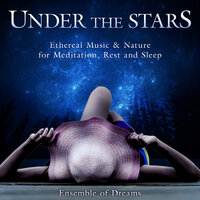 Energy of the Ocean - The Spiritual Voyager