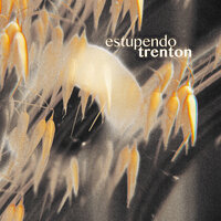 Trenton - Estupendo