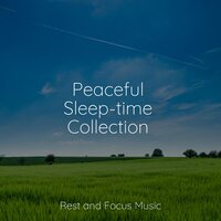Calming Waters Rhapsody - Yoga Sounds & Spa Relaxation & Relaxing Sleep Music