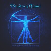 The Seat of the Soul - Meditation Mantras Guru