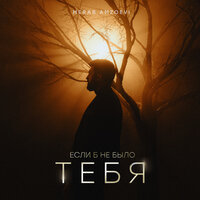 Если б не было тебя - Merab Amzoevi