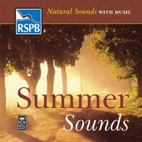 Divine Protection - Natural Sounds