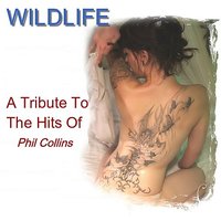 I Wish It Would Rain - Wildlife