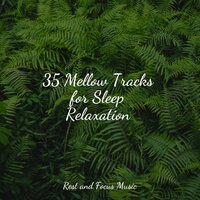 Soothing Crystals - Anxiety Relief & Exam Study Classical Music Orchestra & Ambiente