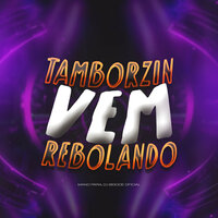 Tamborzin Vem Rebolando - Dj Bigode Oficial & Mano Pará
