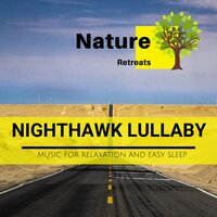 Sparkling Night - Relaxing Minds