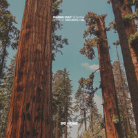 Sequoia - Mango Cult & VieL