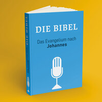 Johannesevangelium 4,42-5,9 - Sebastian Fuchs