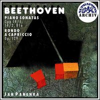 Sonata No. 10 for Piano in G major, Op. 14, No. 2: II. Andante - Ludwig van Beethoven & Jan Panenka