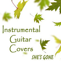 Riptide - Steve Petrunak & Guitar Tribute Players