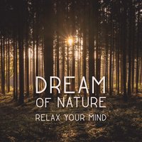 Fresh Start - Harmony Nature Sounds Academy