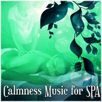 Deep Sleep - Relaxing Music Therapy