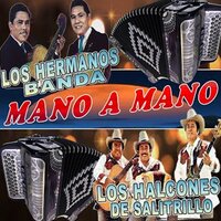 Mi Morenita - Los Halcones De Salitrillo