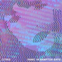 Little Scars - Citris