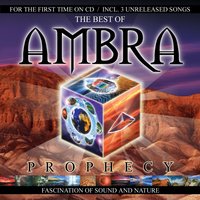 The Futute - Ambra