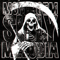 Montagem Silly Melodia - TRXSHBXY