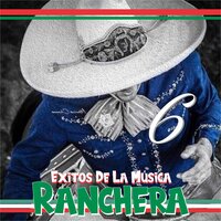 Traicionera - Paco