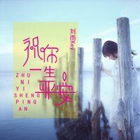 人生一场梦 - 刘雨key