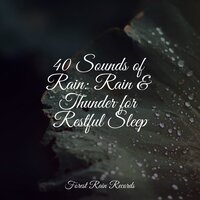 High Ocean Waves - It's Raining & Egyptian Meditation Temple & Sleep Sounds