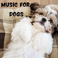 Sleeping in the Clouds - Music for Dogs & Music for Dogs Peace & Relaxing Puppy Music & Calm Pets Music Academy