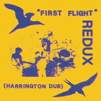 REDUX Dub #10 - Dave Harrington & Chris Forsyth & Spencer Zahn & Ryan Jewell