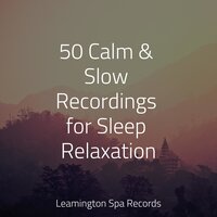 Textures - Mindfulness Meditation Universe & Deep Relaxation Meditation Academy & Rain Shower Spa