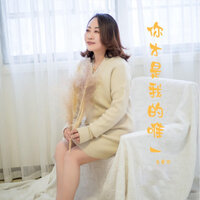 你才是我的唯一 - 王爱华