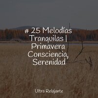 Zen Forzado - Relajante & Canciones de Cuna 101 & Meditación Guiada