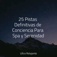 Relajación de Amor - Escola de Meditação & Relajación Meditar Academie & Musica Para Relajarse