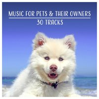 Calming Music for Stressed Animals - Calm Pets Music Academy
