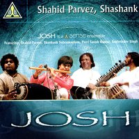 Raag Kalyani - Alap - Shahid Parvez