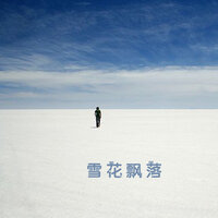 雪花飘落 - 王佳音