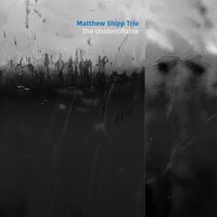 The Unidentifiable - Matthew Shipp Trio