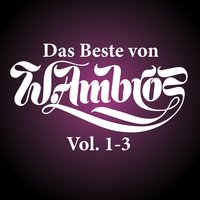 Kaputt und munter - Wolfgang Ambros