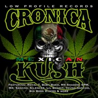 Purple Smoke - Baby Bash & Big Boss Rider