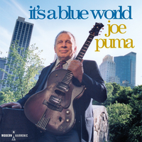 Only Trust Your Heart - Joe Puma