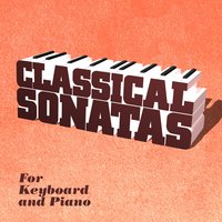 Piano Sonata in B-Flat Minor, Op. 20: III. Finale: Allegro con brio - Artur Pizarro & Jan Václav Hugo Voříšek