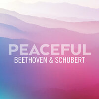 Schubert: Impromptu D 899 Opus 90 - N°3 en sol bémol majeur : Andante - Philippe Cassard & Франц Шуберт