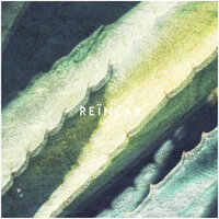 Reïncar - Daniel van der Zwaag