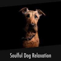 Pup Time Composure - Calming Doggy Relaxation