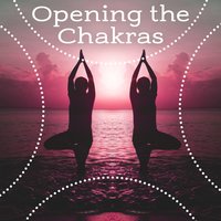 Soul Energy - Chakra's Dream