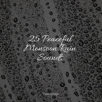 Rainy Sunrise Forest Ambience - Weather Factory & Rainfall & Sleep Makers Samples