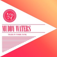 I Can't Be Satisfied - Muddy Waters