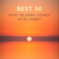 Evening Yoga - Garden of Zen Music