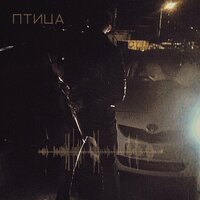 Птица - Дмитрий закордонец