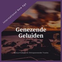 Rustgevende Spa Thuis - International New Age