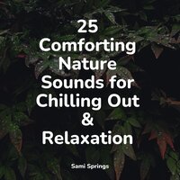 Rain in the City - White Noise Sound Garden & Sol y Lluvia & Hipnose Natureza Sons Coleção